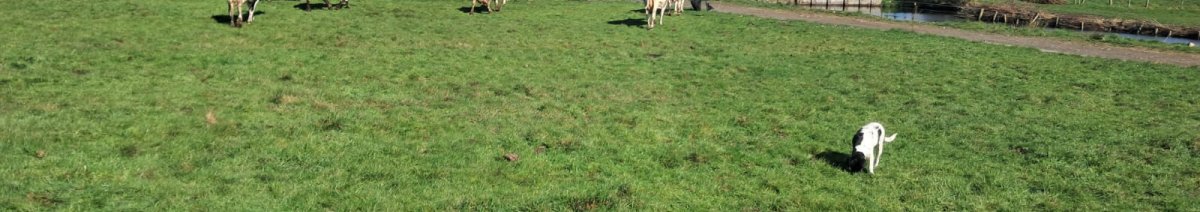 WhatsApp Image 2025-05-13 at 14.03.32 (1).jpeg