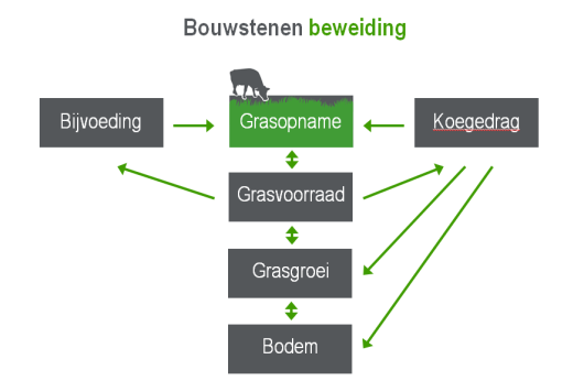 Figuur 2: de bouwstenen van Amazing Grazing