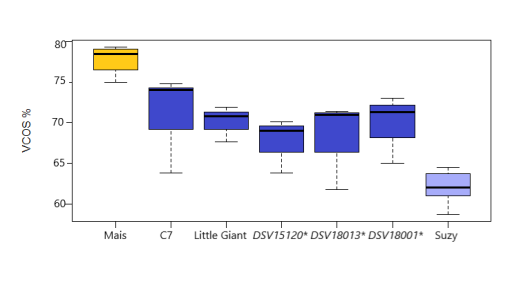 Figuur 3: Verteerbaarheid (VCOS met Tilley en Terry) van mais en sorghumrassen. Geel is mais, donkerblauw zijn de zetmeeltypen, lichtblauw is een structuurtype *Rassen in testfase.