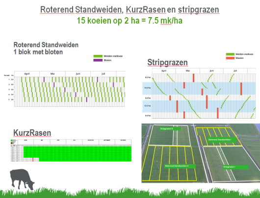 Figuur 3: bouwstenen onderzocht binnen verschillende vormen van weiden. Op Zegveld is Stripgrazen en KurzRasen, op Dairy Campus Stripgrazen en Roterend Standweiden..