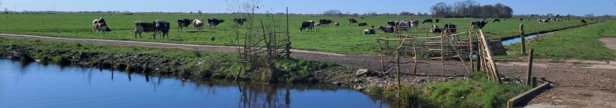 WhatsApp Image 2025-05-13 at 14.03.32 (2).jpeg