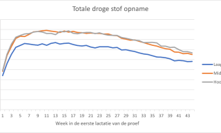 Figuur 1: Droge stof opname van koeien met verschillende eiwitgehaltes in het rantsoen (Laag: 13.3%; Midden 14.3%; Hoog: 15.4%) tijdens de eerste lactatie (44 weken) van de proef.