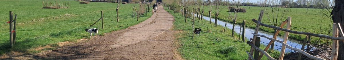 WhatsApp Image 2025-05-13 at 14.03.32.jpeg