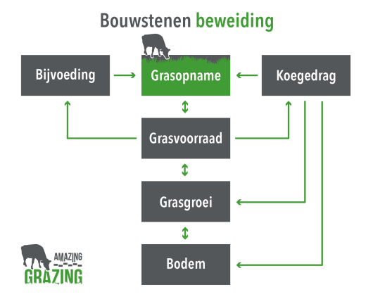 AmazingGrazing-Bouwstenen-Beweiding-l.png